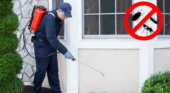 Beşiri Gümüşkurt İlaçlama böcek ilaçlama ve haşere kontrolü — ilaclama-tr.com